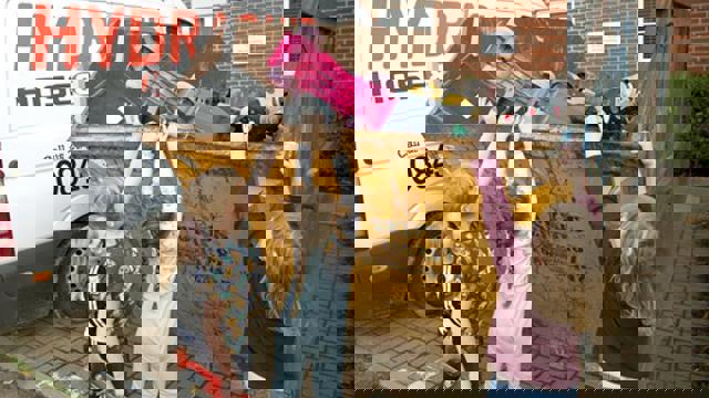 Clear Up 034 Steve Brading