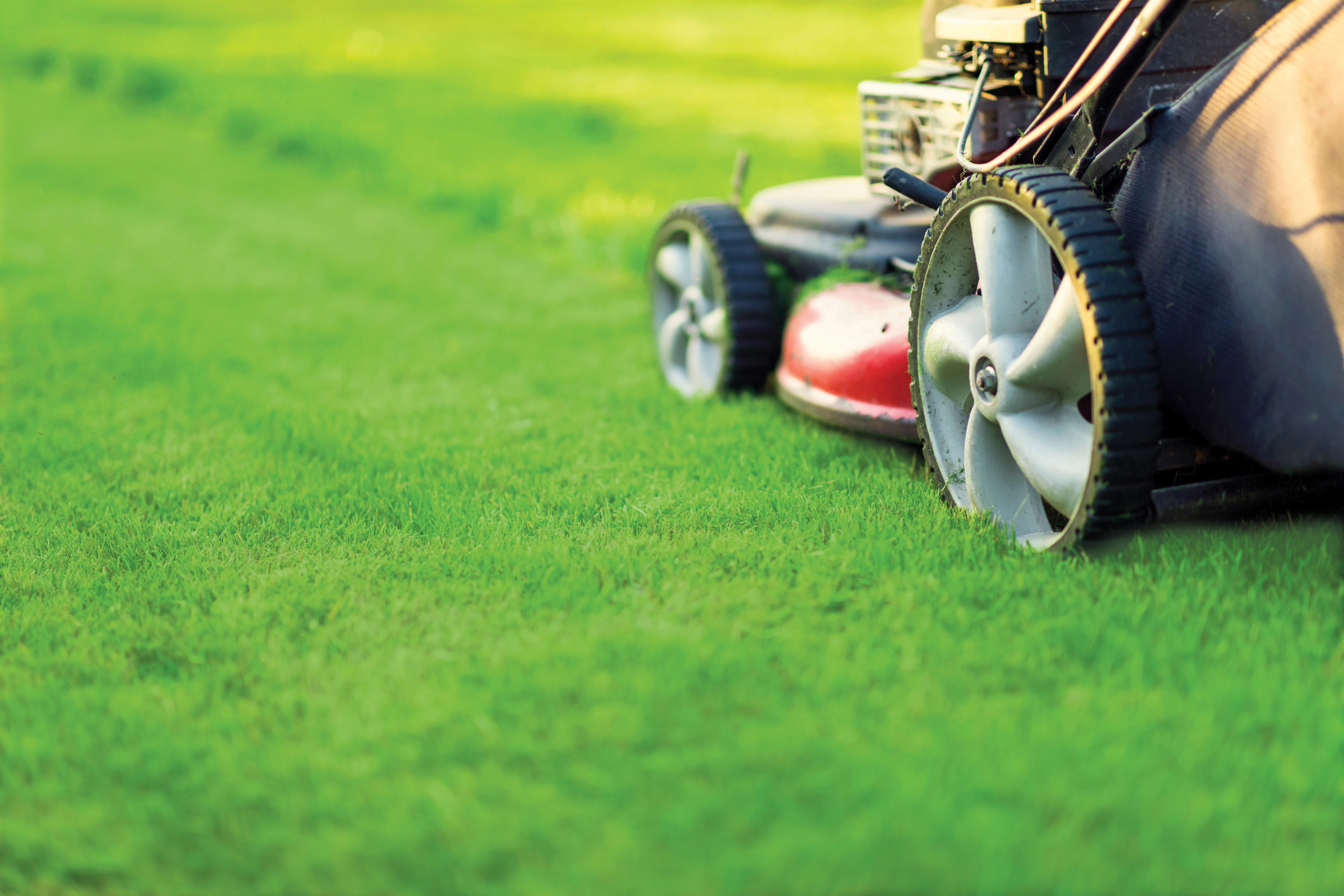 A lawn mower is cutting grass.